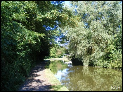 DSCF6164