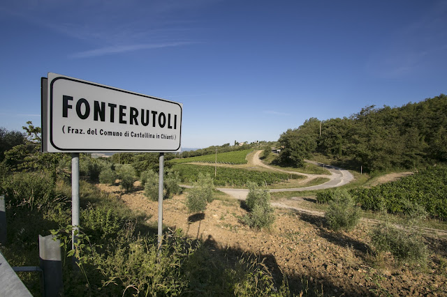 Borgo di Fonterutoli-Le vigne