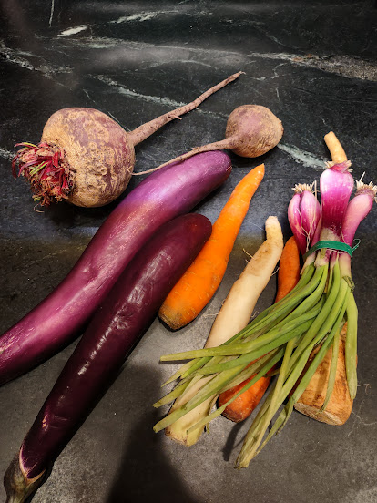 Photo of raw vegetables. A beet, two Chinese eggplants, two carrots, a daikon radish, a rutabega, and a bunch of red scallions on a black countertop