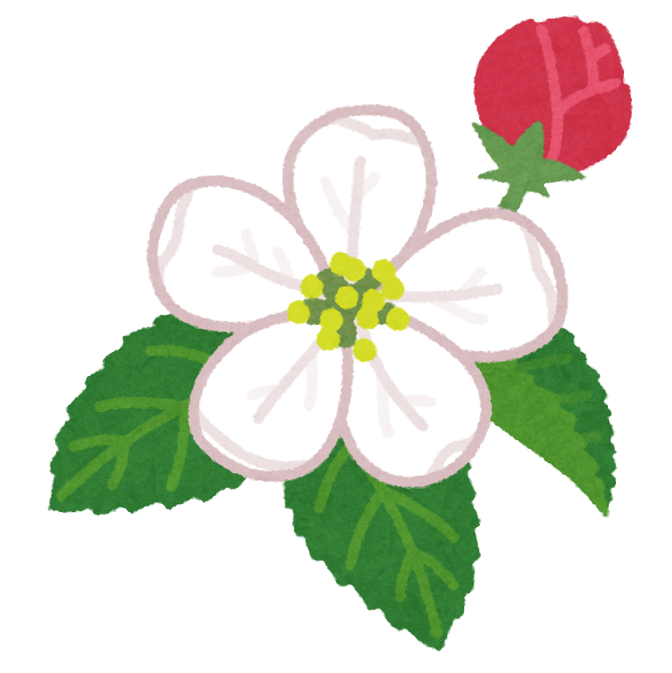 りんごの花のイラスト かわいいフリー素材集 いらすとや