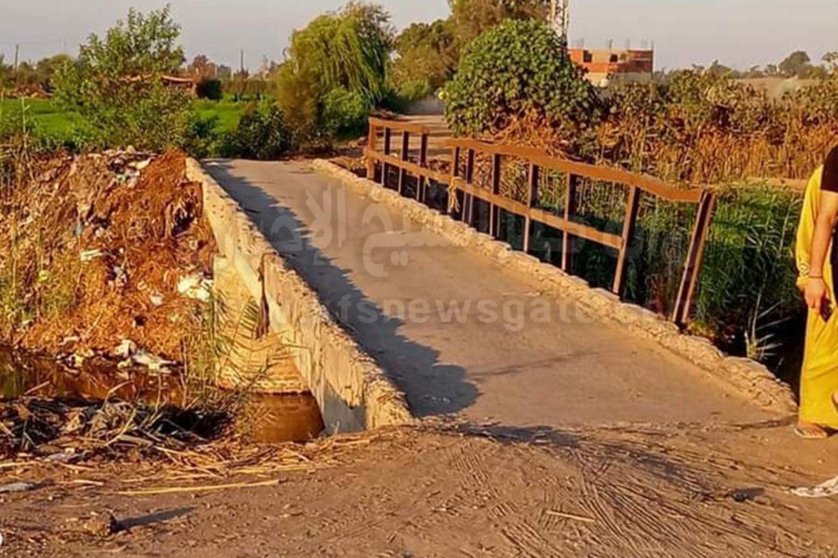 آيل للسقوط ويفتقد الأمان..كوبري "الدبابير" الخطر المميت لأهالي بقلين - صور