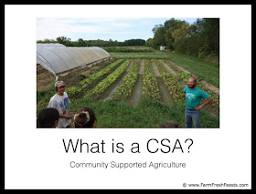 George Mertz of Patchwork Gardens leads a tour of his farm
