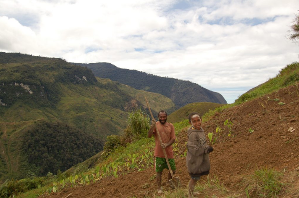 Posisi Sistem Pertanian di Papua