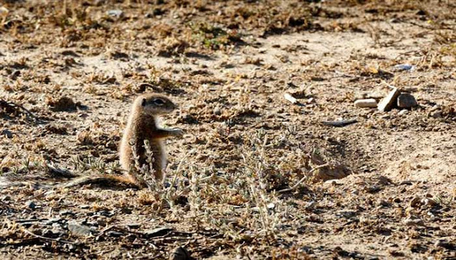 Mountain Zebra National Park