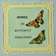 Winner Butterlfy Challenge