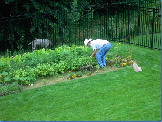 Garden 2009 004