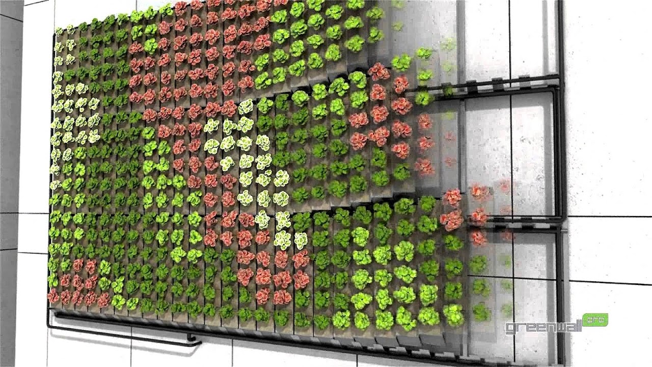 Green Wall Systems Diy