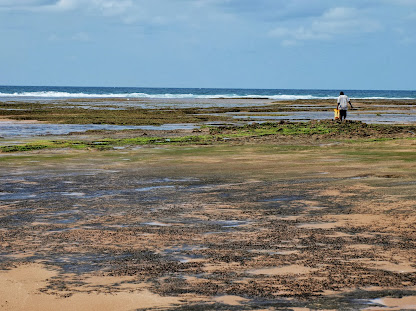 Mozambico Praia Do Tofo