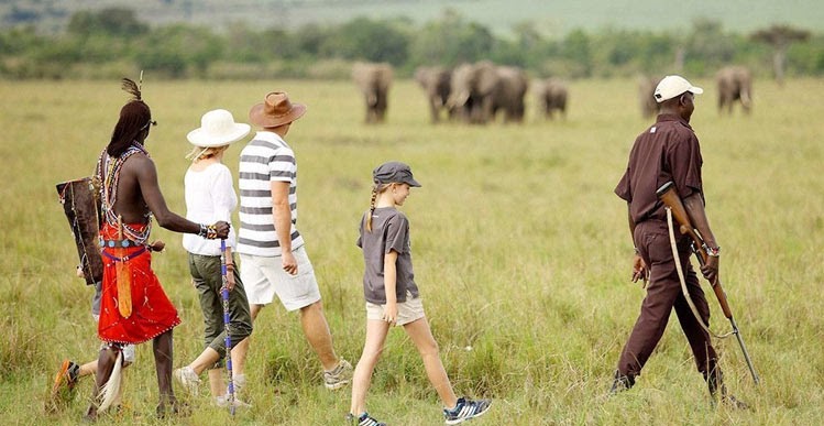 Select The Best Tanzania Safari Tour Package From Canada For Your Trip