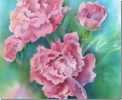 colours and textures pink peonies