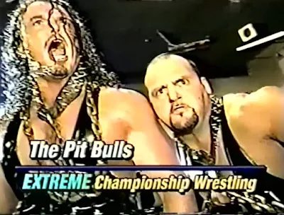 ECW Double Tables '95 Review - The Pittbulls
