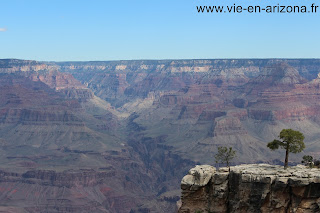 Grand Canyon 7