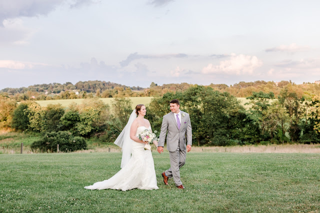 Summer Wedding at Dulany's Overlook photographed by Heather Ryan Photography