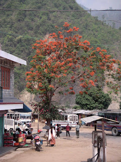 LACN - voyage - nepal