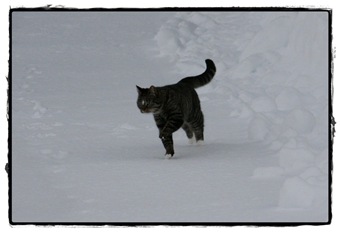 Januar 087-red