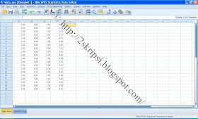contoh data spss