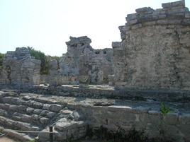 DSCN6106