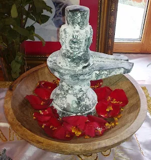 Shiva lingam