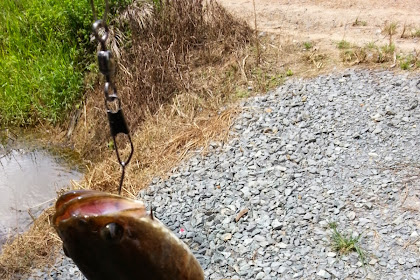 tempat memancing di johor
