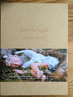 book cover of Into the Light  book in a box by Corina Duyn