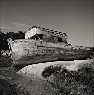 Brandon Allen Photography - Hasselblad 500cm - Black and White Photographs - Point Reyes, CA