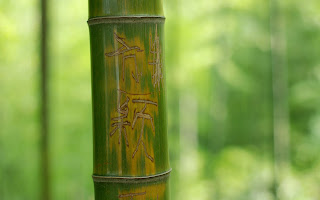 Wood Bamboo Green Stem Characters Background
HD Wallpaper