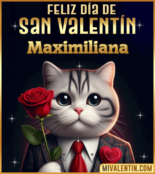 Gif con Nombre de feliz día de San Valentin Maximiliana