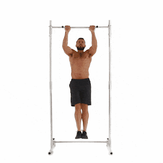 How to get shredded muscles?