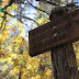 SECRET CANYON-DAVID MILLER-BEAR SIGN LOOP