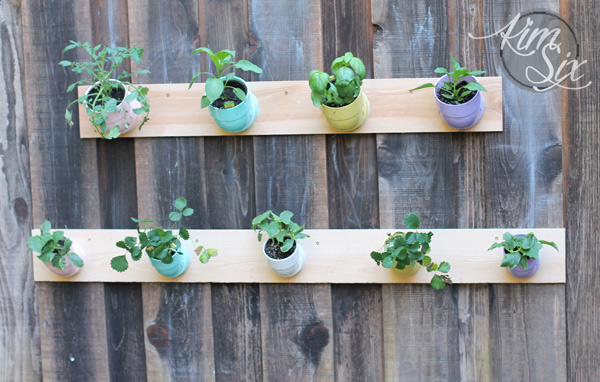 Growing plants in plastic pipes on wall