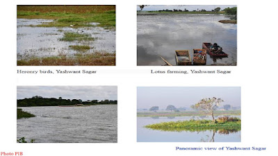 Yashwant Sagar Bird Areas Madhya Pradesh Facts in Brief
