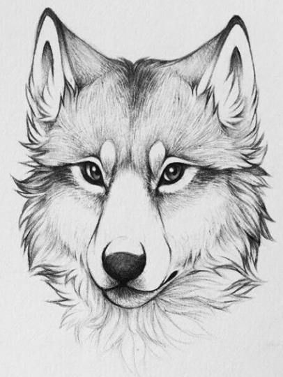 Dibujo de lobo para Tatto | dog ideas wolves