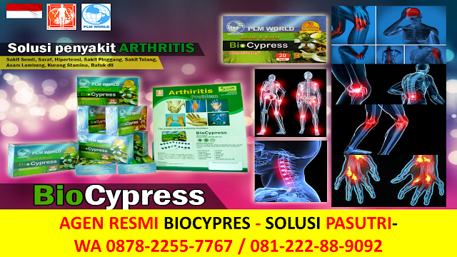 produk bio cypress, biocypress samarinda, biocypress stroke, bio cypress singapore, bio sunah cypress, air sunnah bio cypress, stokis bio cypress, bio cypress terengganu, testimoni bio cypress, biocypress untuk ibu menyusui,