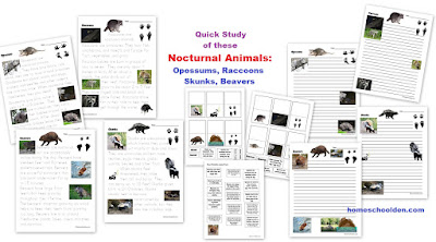 http://homeschoolden.com/big-animal-bundle/