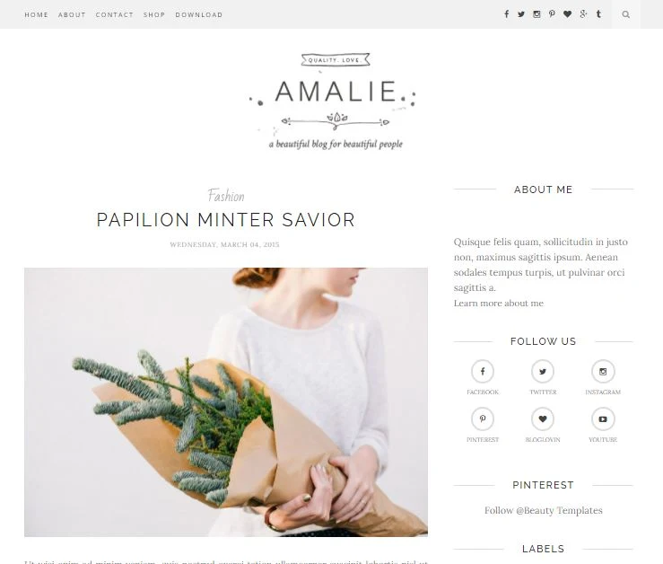 Amalie-premium-version-responsive-blogger-template-free-download