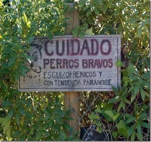 carteles divertidos (49)
