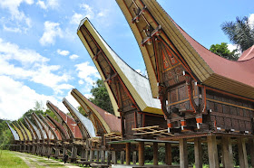 tour toraja
