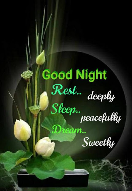 Good night quotes sms-"Sweet Dreams & Moonbeam Memes: A Collection of Good Night Quotes to Spark Your Slumber"  #DreamsInColor , #NightlyInspiration , #SleepWellQuotes , #DreamscapeJourney , #NightlyWisdom ,  #StarsAndDreams , #MoonlitMusings , #SerenadeOfSleep , #NocturnalNest, #SlumberSerenity ,   #DreamWeaver, #NightlyReflections , #SleepyQuotes , #DreamsUnleashed ,#QuietNightThoughts ,  #GoodNightVibes , #SleepingBeautyQuotes ,#MoonbeamMagic ,  #RestfulNights , #DreamsTakeFlight ,  #GoodNightWorld , #SweetDreams ,#NighttimeBliss ,  #SleepTight , #RestfulNights ,  #BedtimeBlessings , #DreamlandJourney , #NightlyPeace ,#QuietNight ,#StarsAbove ,  #SleepWellTonight , #NightMagic , #NocturnalNap , #MoonlitDreams ,  #NighttimeWonders ,  #DreamsComeTrue , #NightfallNest , #NightlyEscape , #SleepyHead , #DreamsWithStars ,