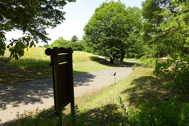 鳥取県西伯郡南部町鶴田 とっとり花回廊 花の丘