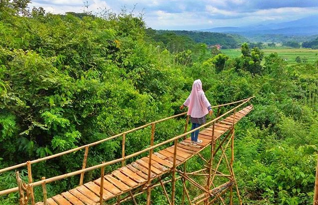 Wisata Batang | Rumah Pohon Villa Bukit Asri Wates Wonotunggal Batang