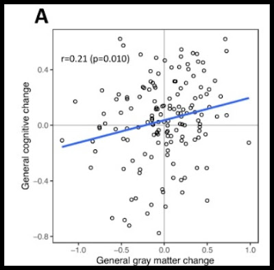 gray matter and IQ
