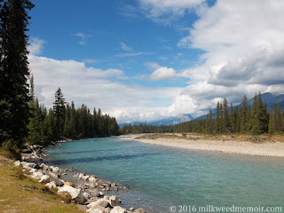 Blue Kootenay river with pines on shore and mountains in back, in Kootenay National Park, British Columbia, Canada