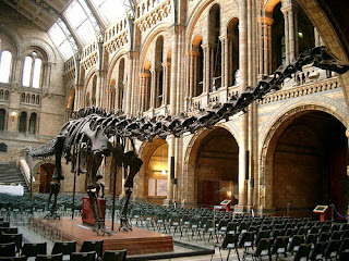 museo_de_historia_natural_londres