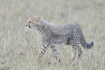 20110830-D3X_6894.jpg