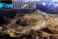 PT Freeport Indonesia - Recruitment For S1, S2 Fresh Graduate Program PTFI November - December 2015