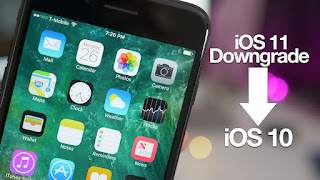 https://www.termudah.com/2019/03/cara-downgrade-ios-11-ke-10.html?Downgrade+iOS