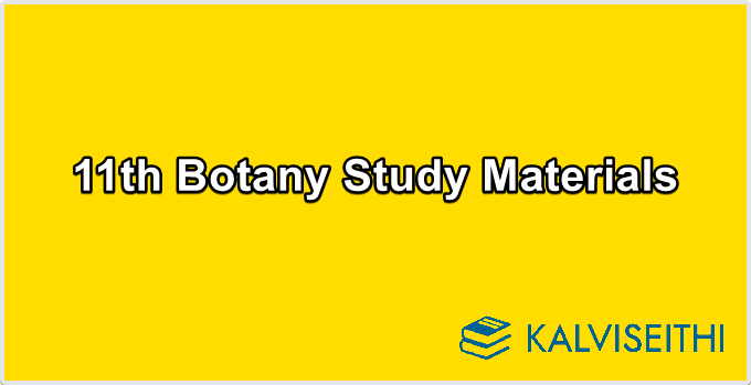 11th Botany Study Materials