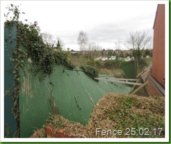 Falling down fence