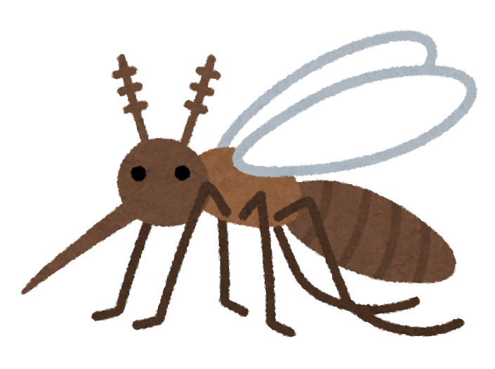 蚊の一生のイラスト かわいいフリー素材集 いらすとや 蚊の一生のイラスト かわいいフリー素材集 いらすとや