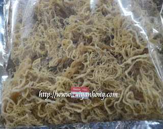 Sabah Seaweed